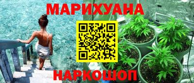 спиды Боровичи