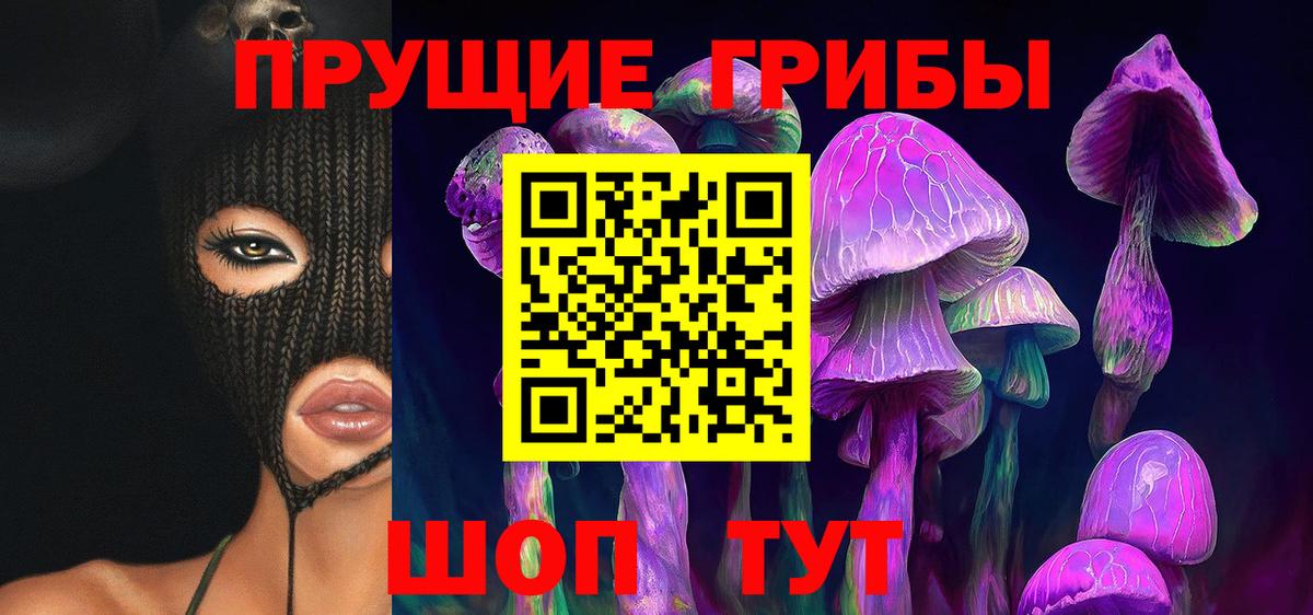 Богданович  Псилоцибиновые грибы ЛСД  Вход с VPN 