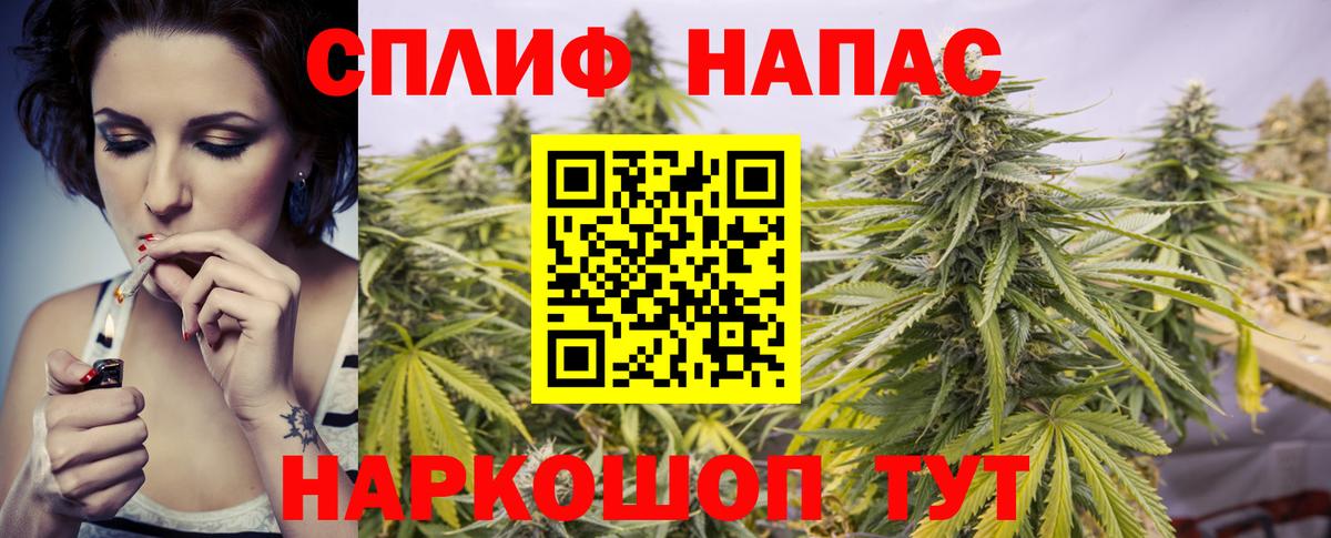 Бошки марихуана MAZAR Богданович
